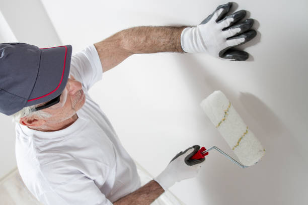 Best Water-Damaged Drywall Repair  in Clifton, CO