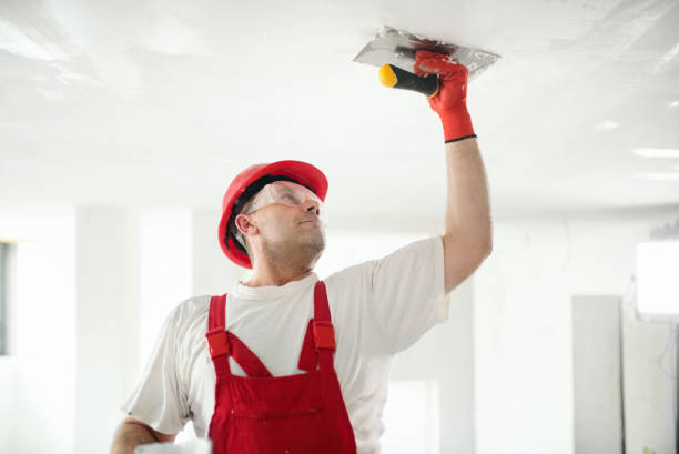  Clifton, CO Dry wall and painting Pros